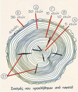 woodCircles