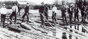 woodDriver1