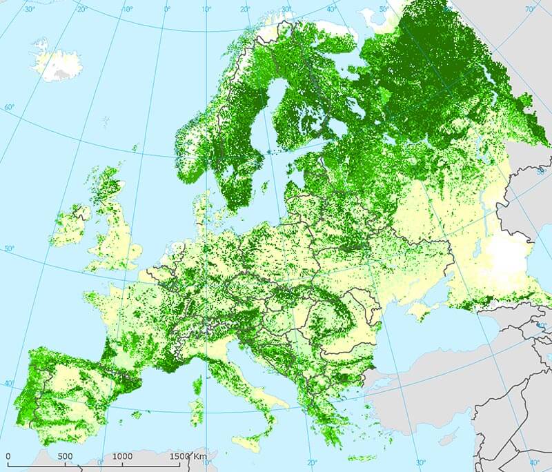 Forests cover 40% of the European Union